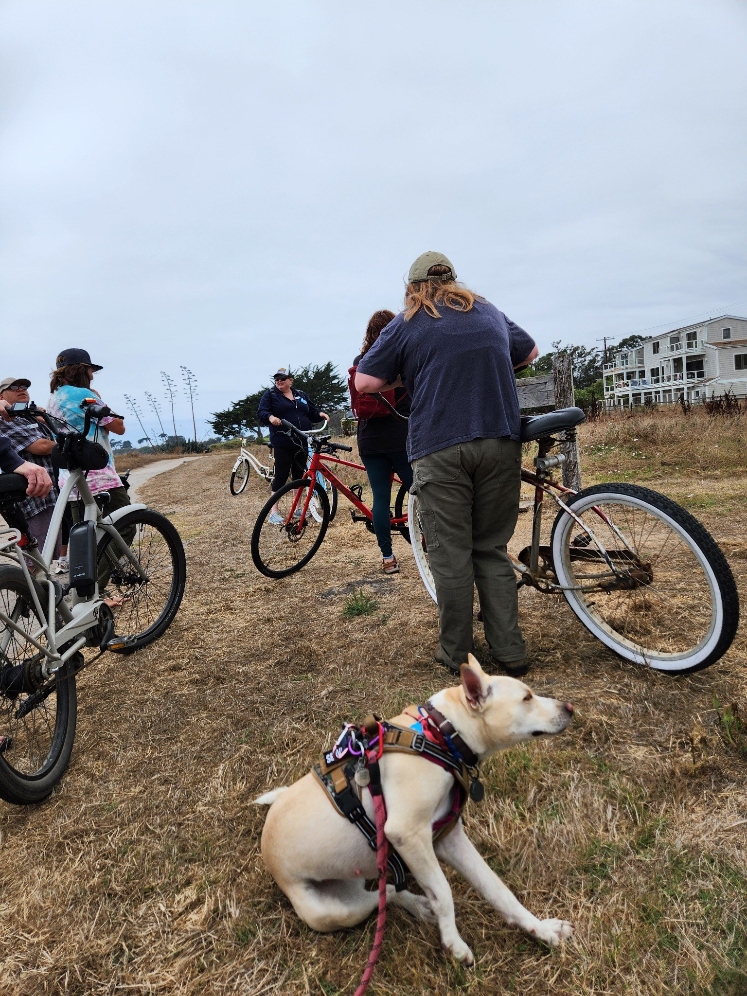 Sapphire at the Isla Vista Recreation and Park District community bike ride